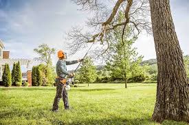 Seasonal Cleanup (Spring/Fall) in Live Oak, TX